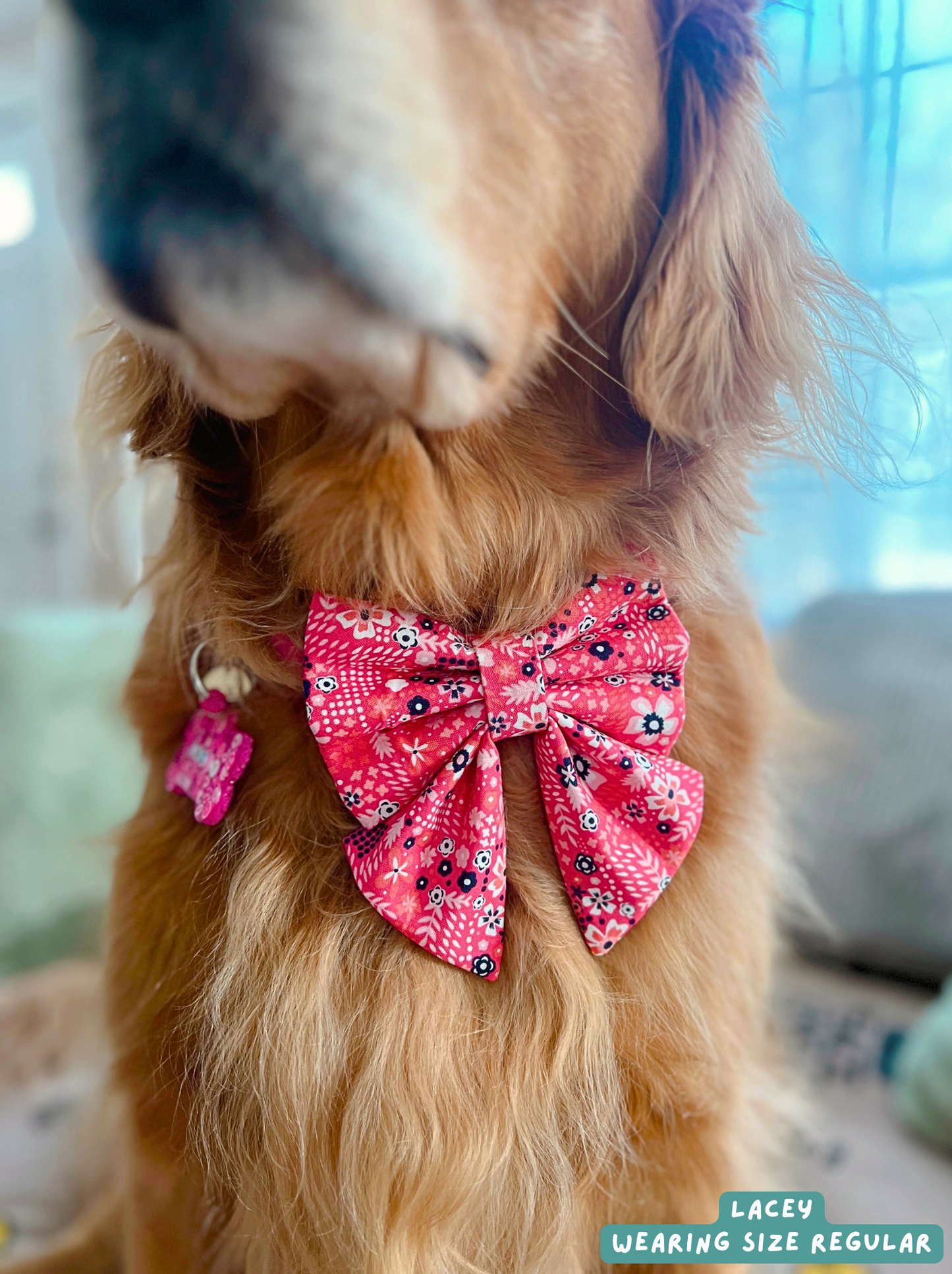 Floral Pup - Sailor Bow