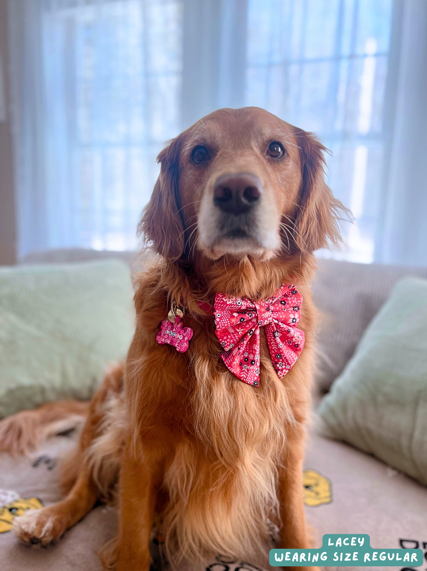 Floral Pup - Sailor Bow