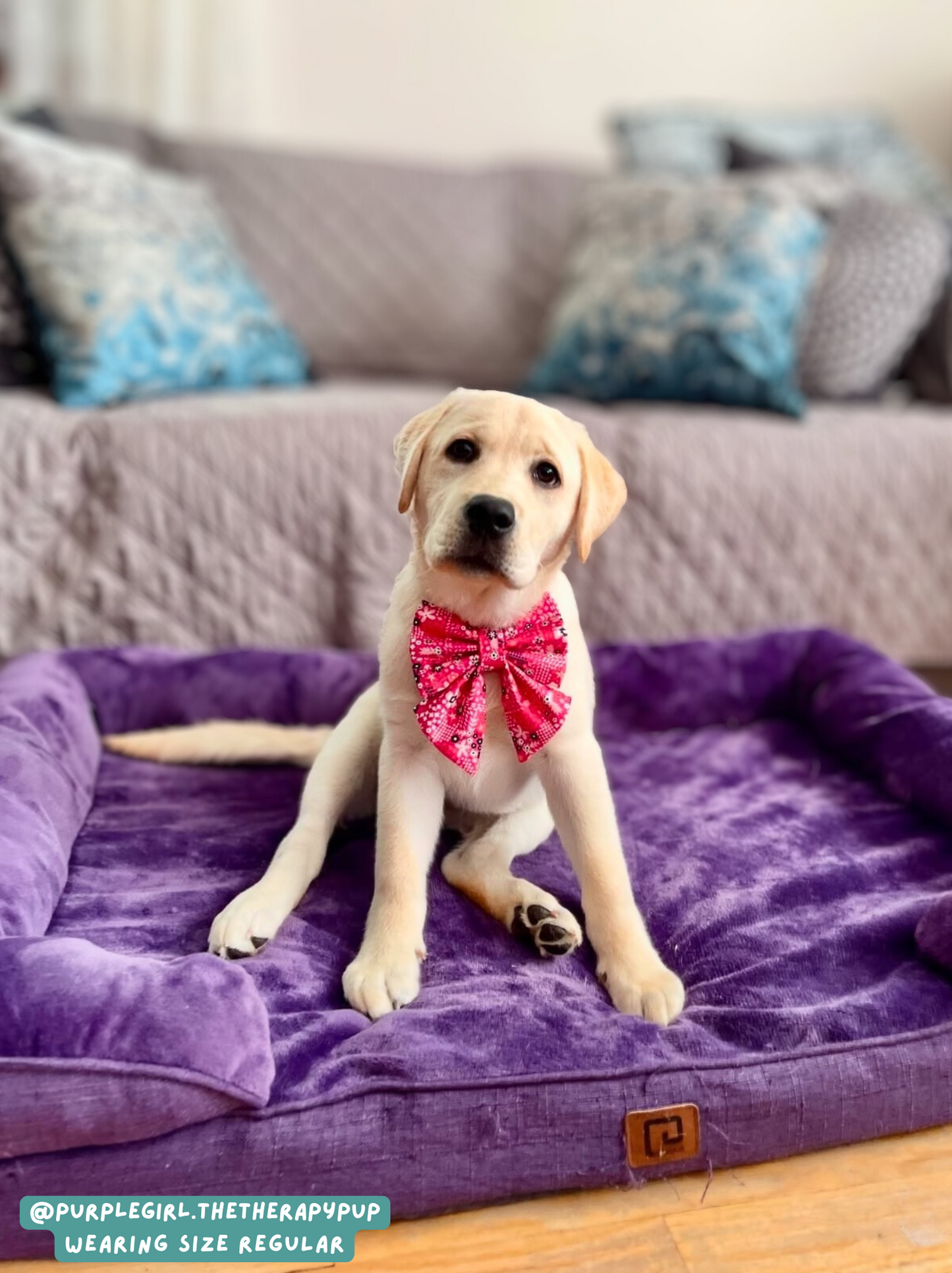 Floral Pup - Sailor Bow
