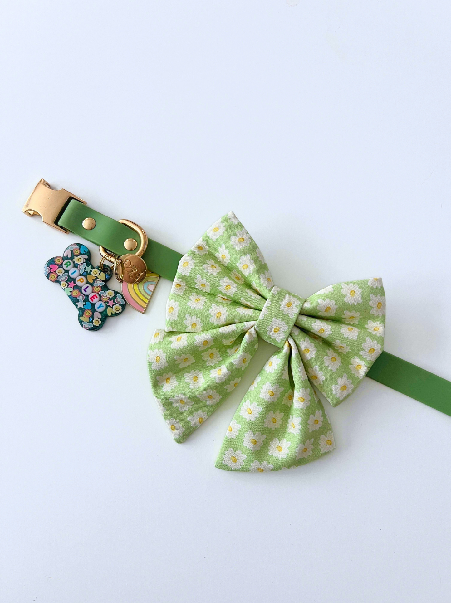 Green Waterproof Dog Collar & Leash (Gold Hardware)