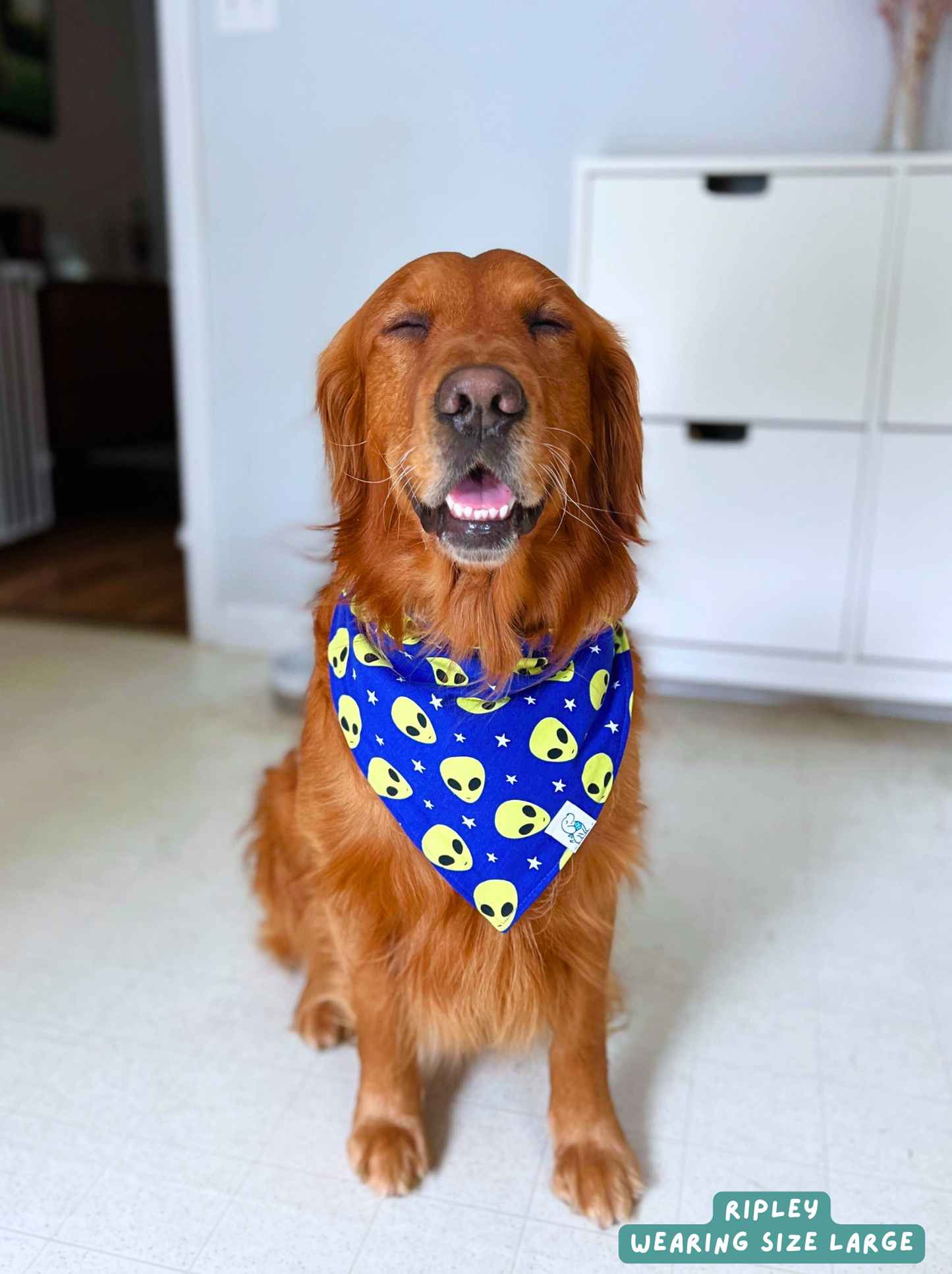 Alien Friend - Bandana
