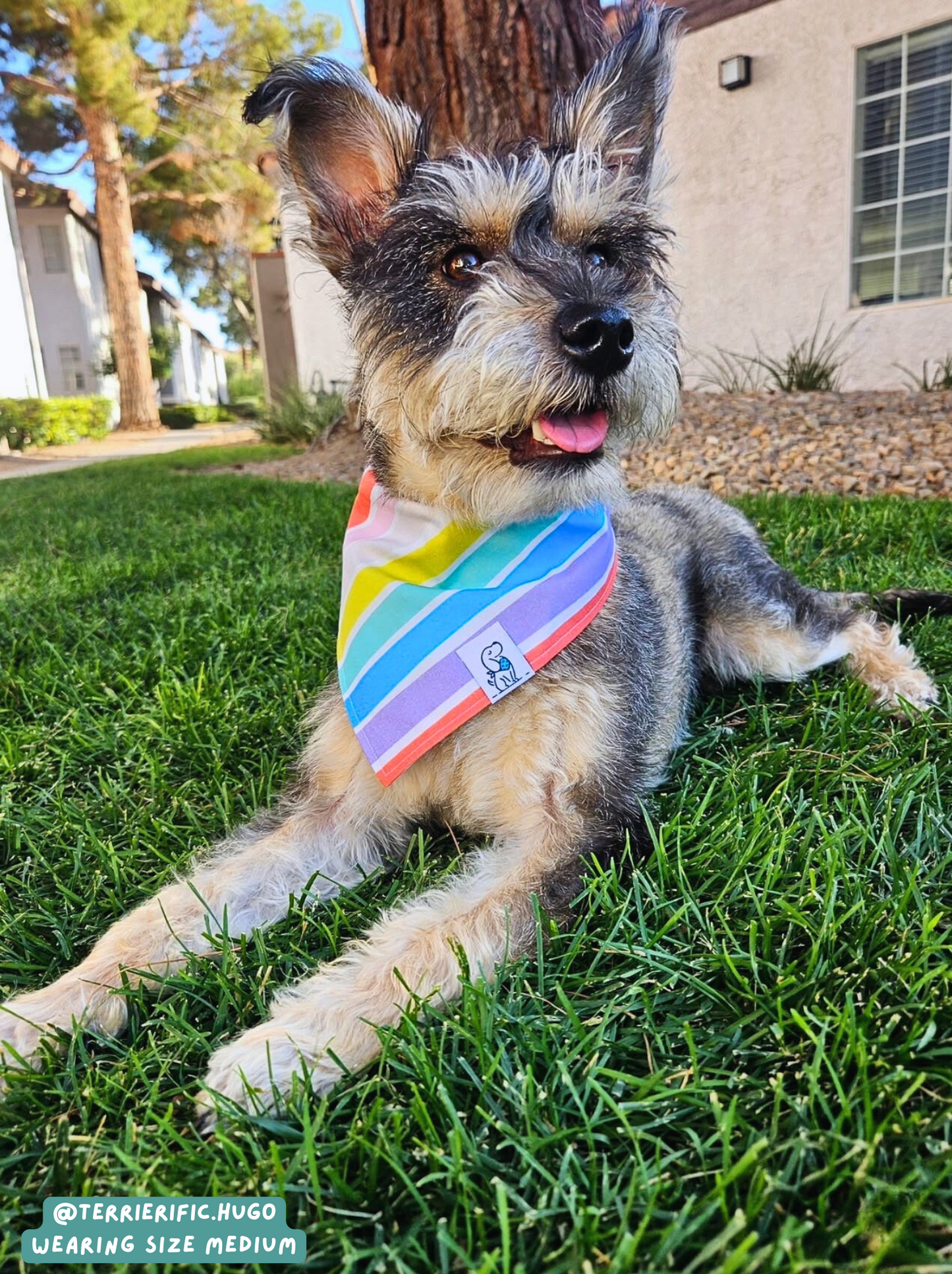Rain-Bow-Wow-Wow - Bandana