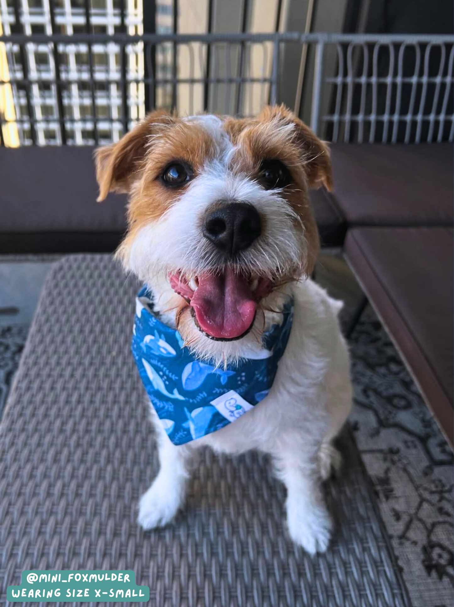 Whale Hello There - Bandana
