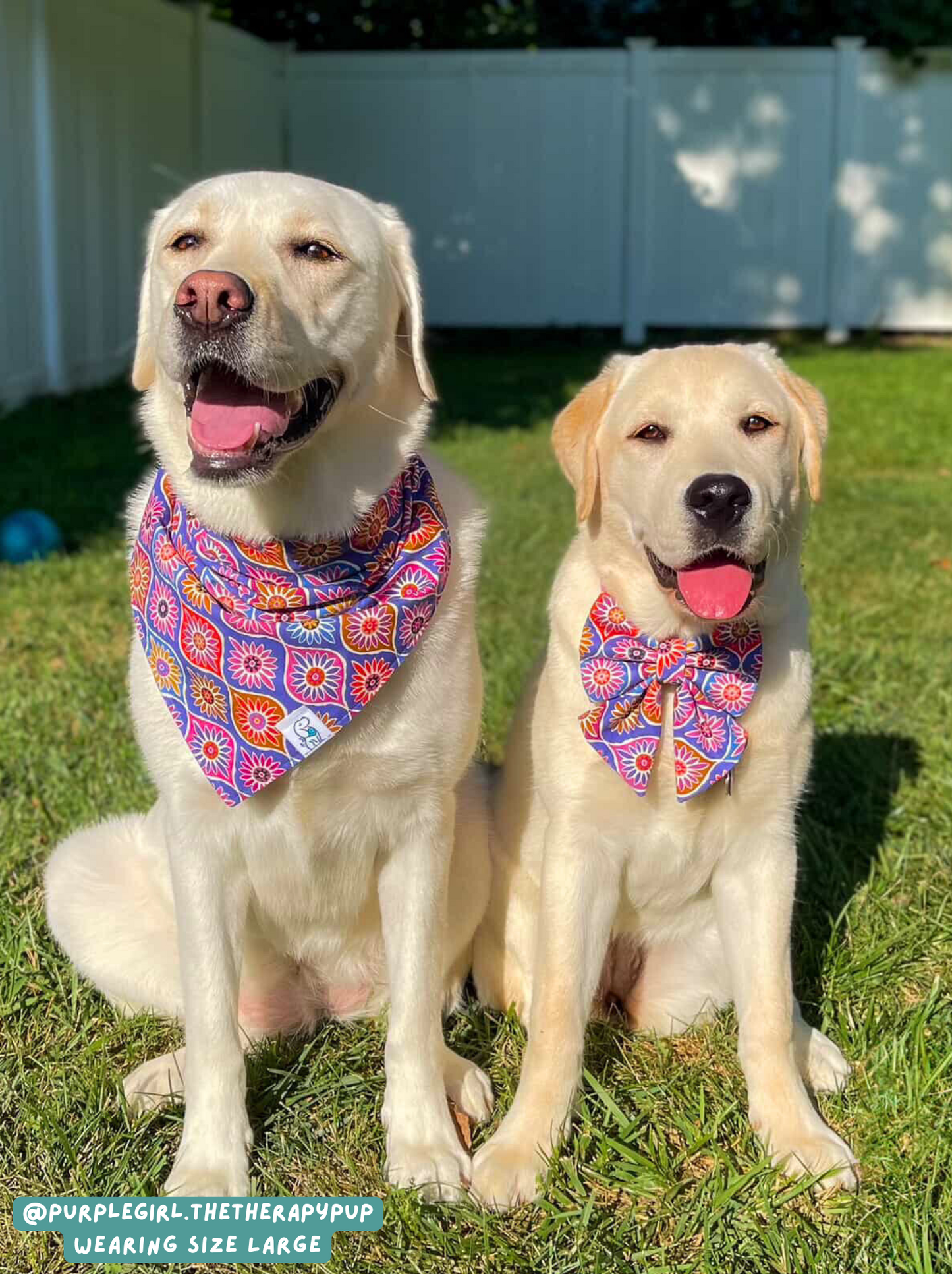 Feeling Retro - Bandana