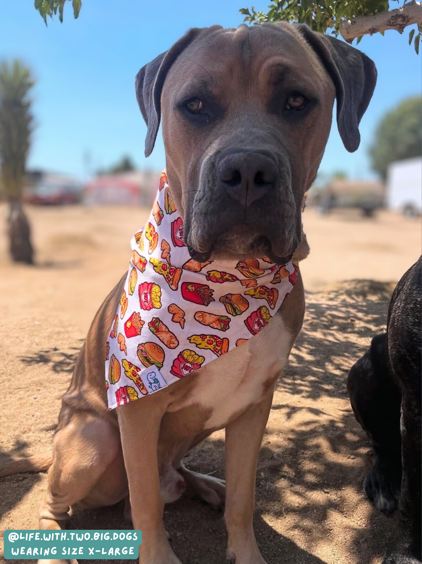 Fast Food - Bandana