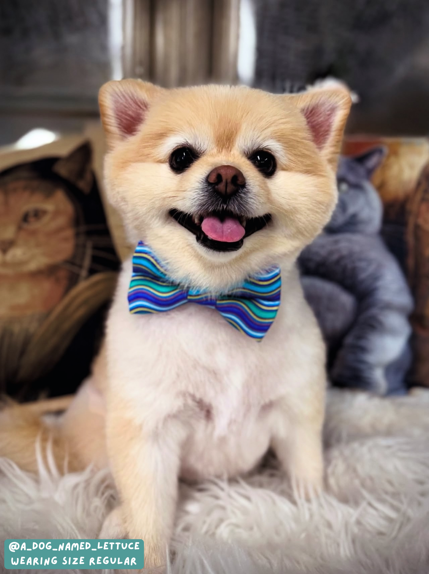 Wavy - Bow Tie