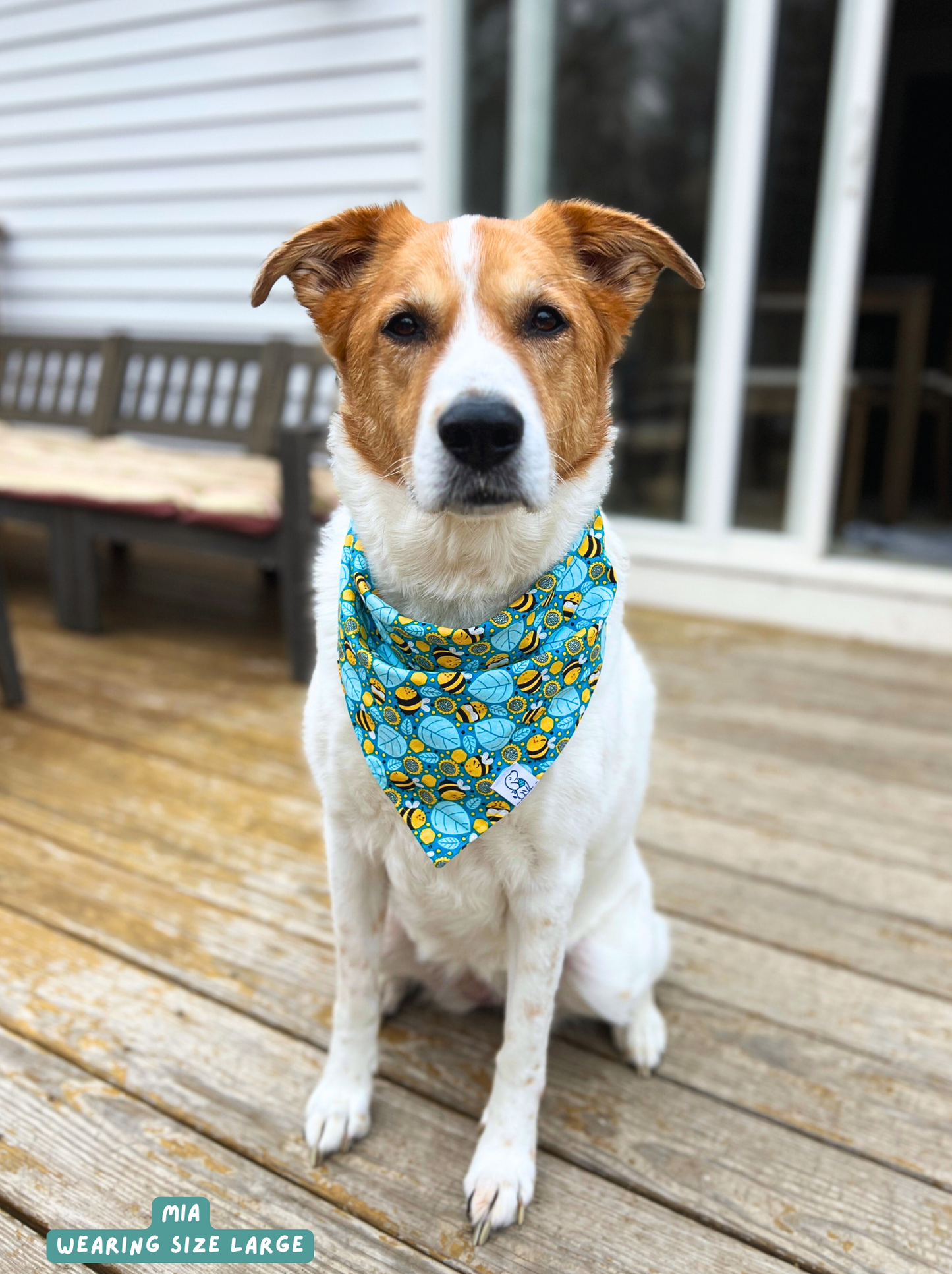 Buzzin Bees - Bandana