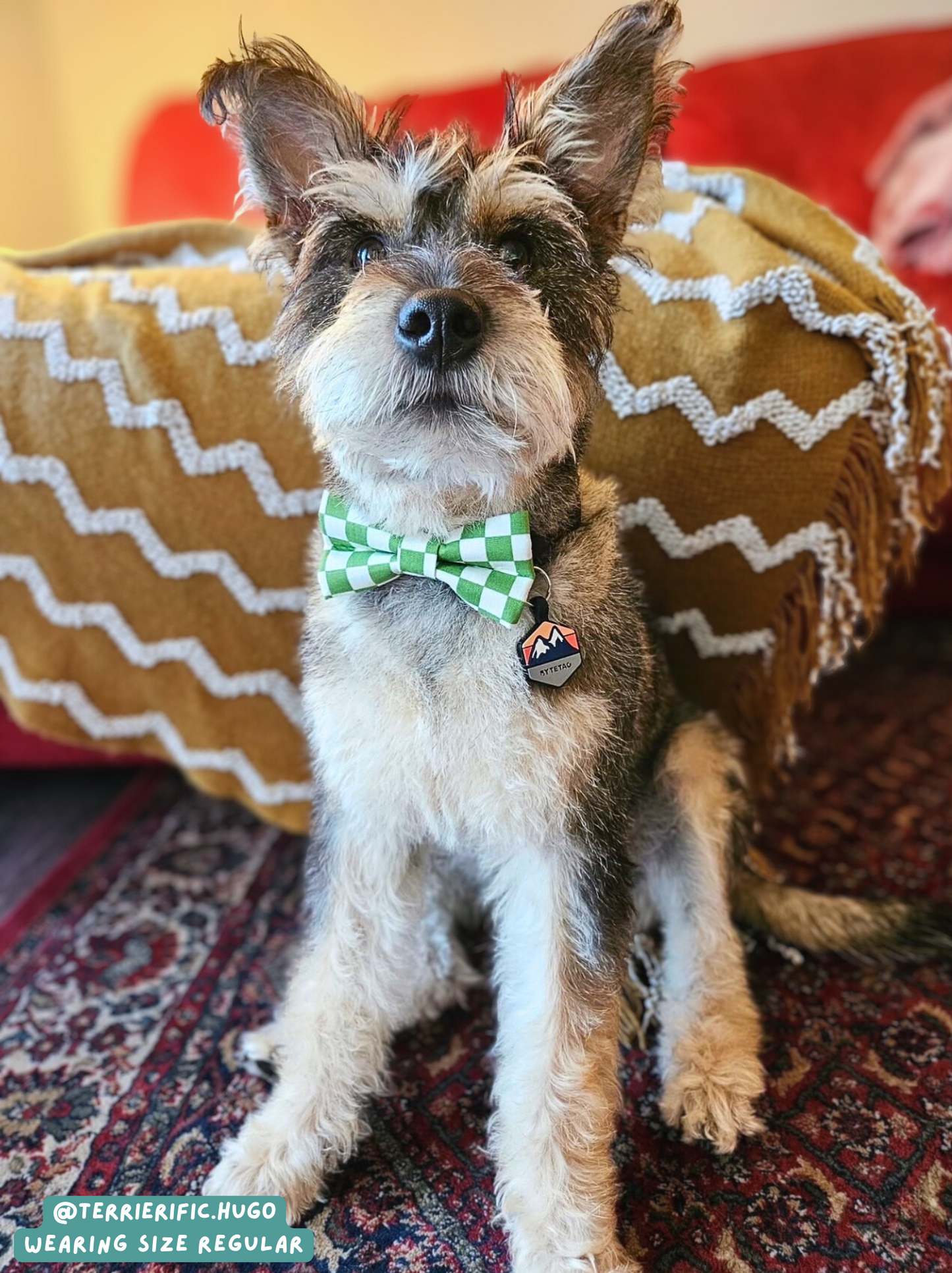 Check Yourself - Bow Tie