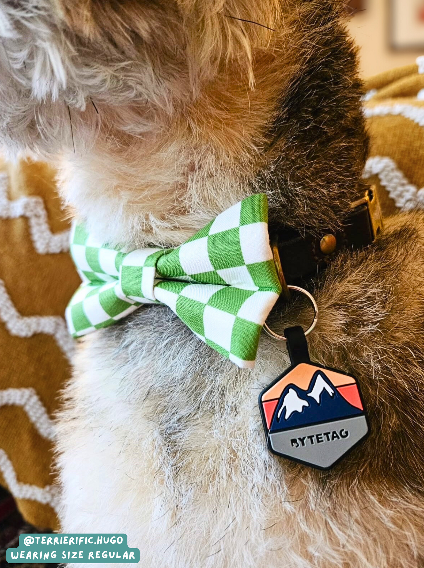 Check Yourself - Bow Tie