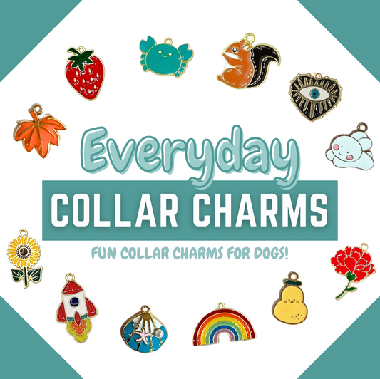Collar Charms