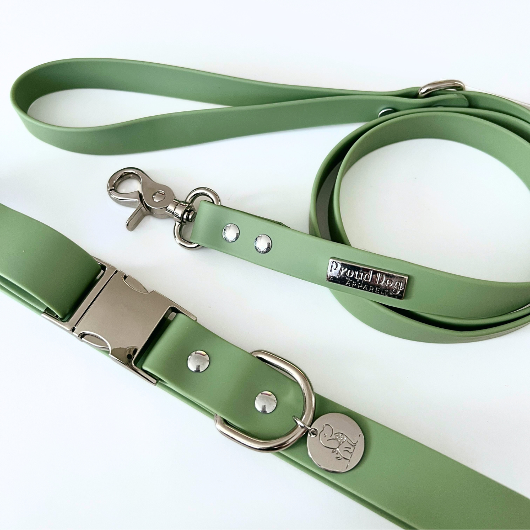 Green Waterproof Dog Collar & Leash (Silver Hardware)
