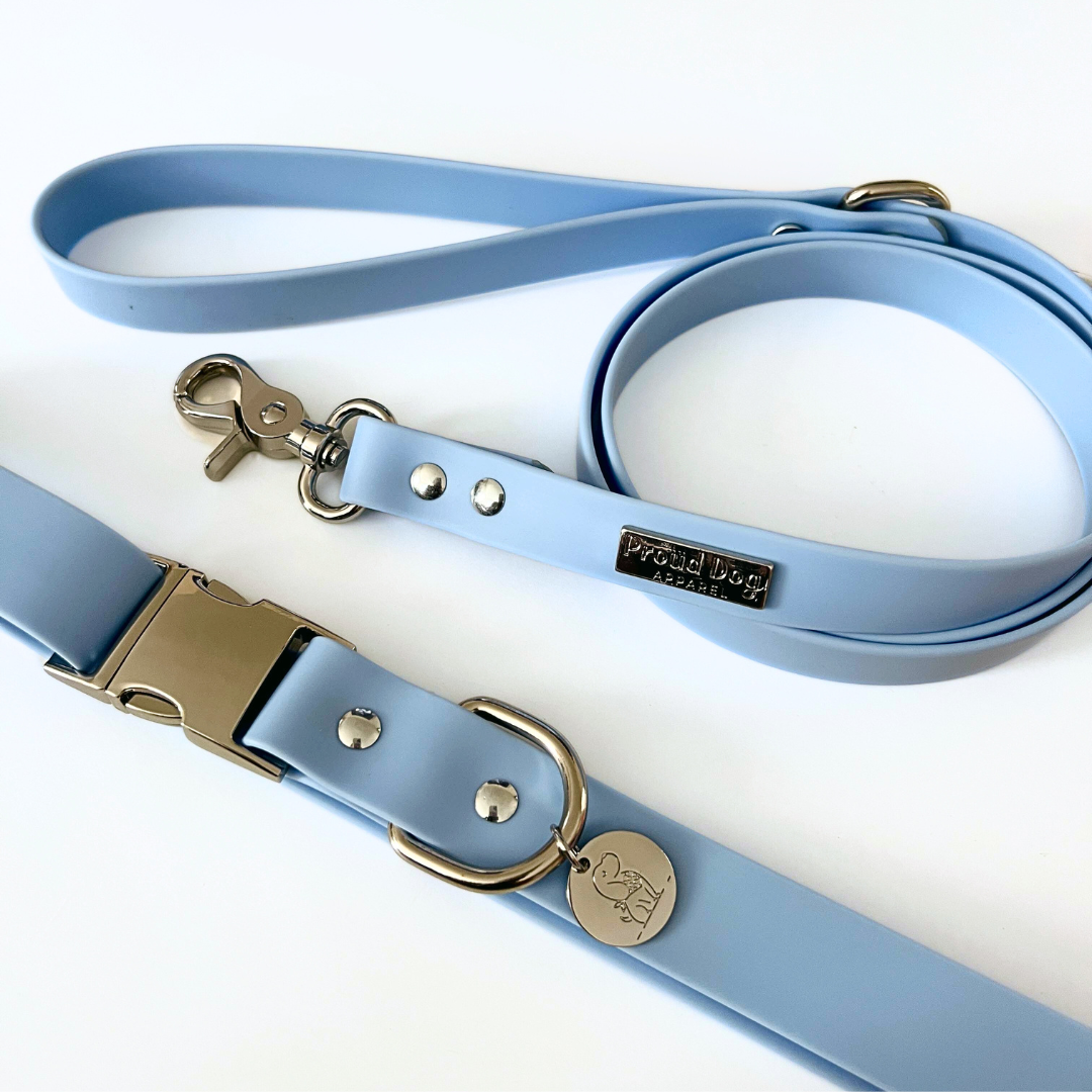 Blue Waterproof Dog Collar & Leash (Silver Hardware)