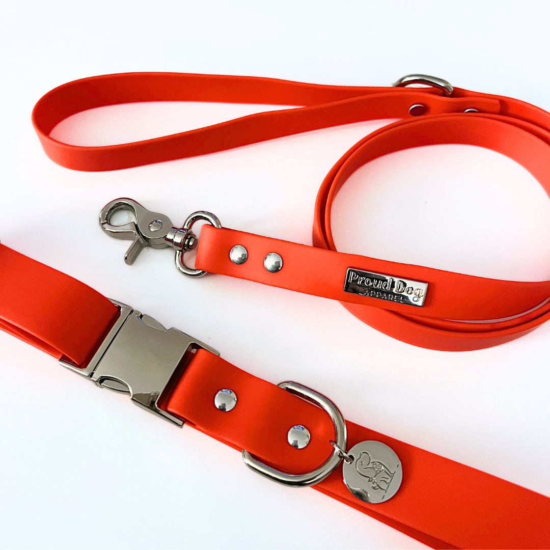 Orange Waterproof Dog Collar & Leash (Silver Hardware)