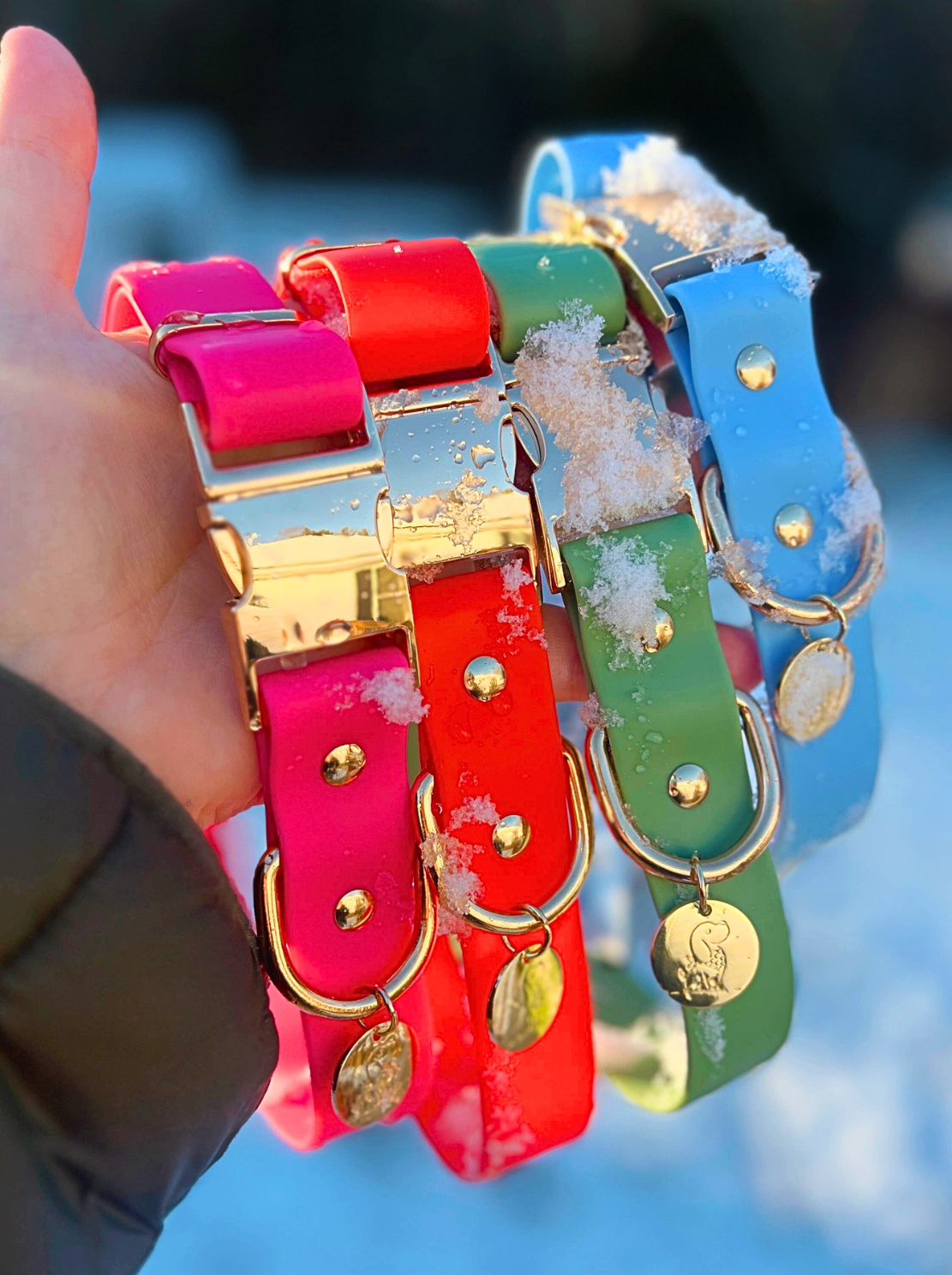 Pink Waterproof Dog Collar & Leash (Gold Hardware)