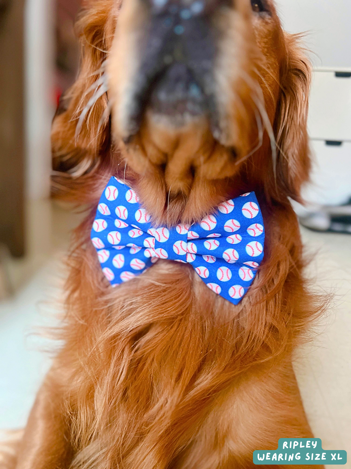 Baseball - Bow Tie