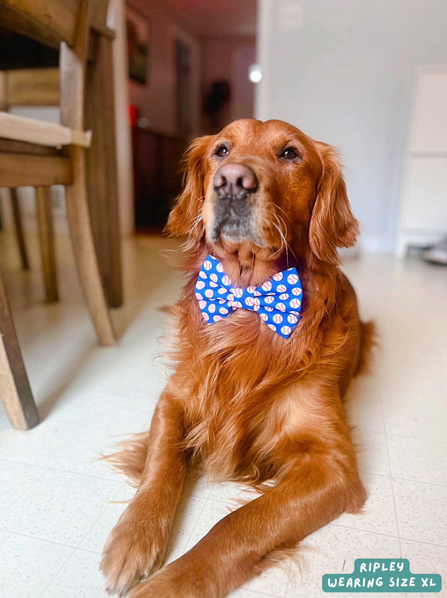 Baseball - Bow Tie