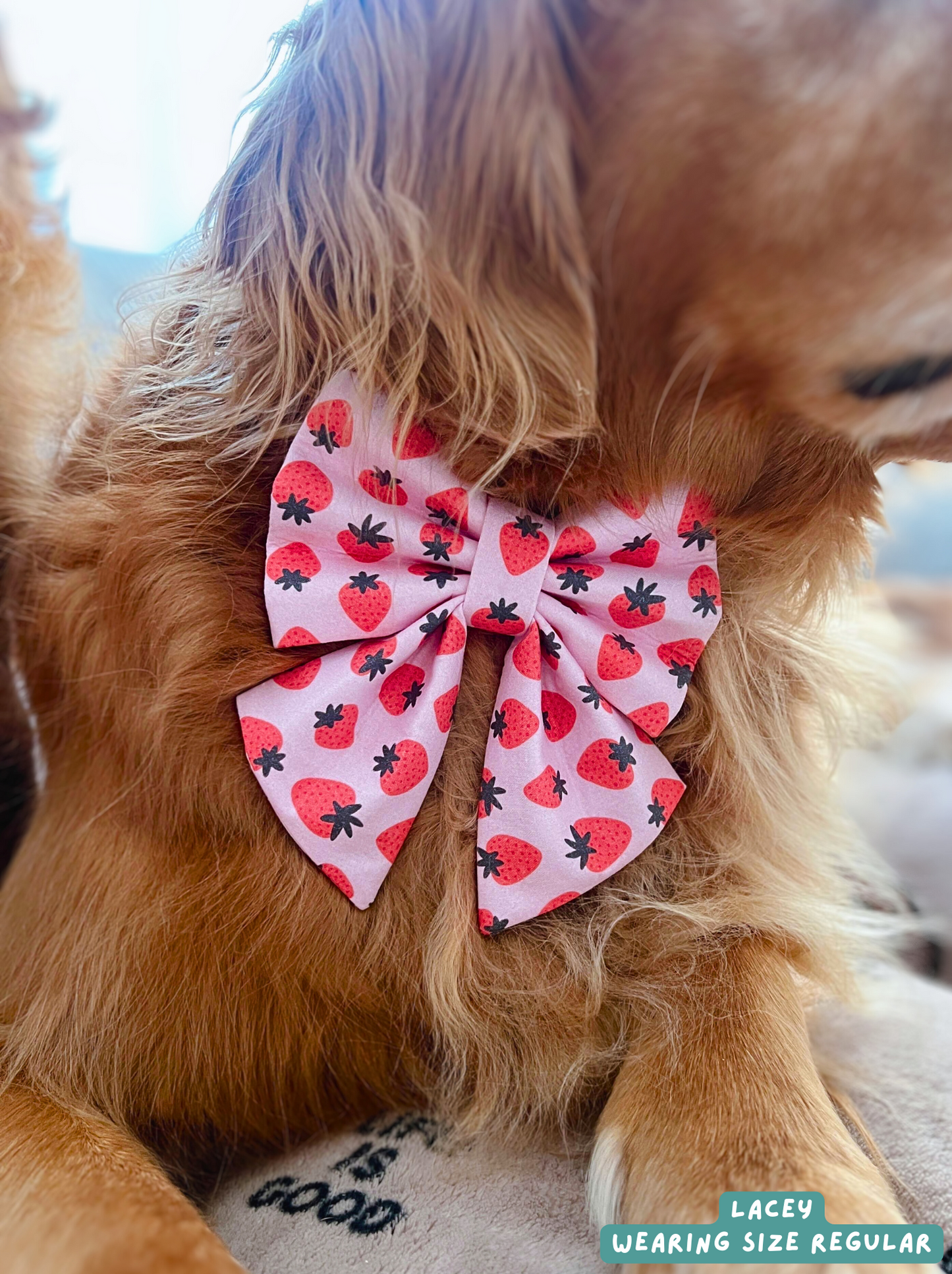 Berry Sweet - Sailor Bow