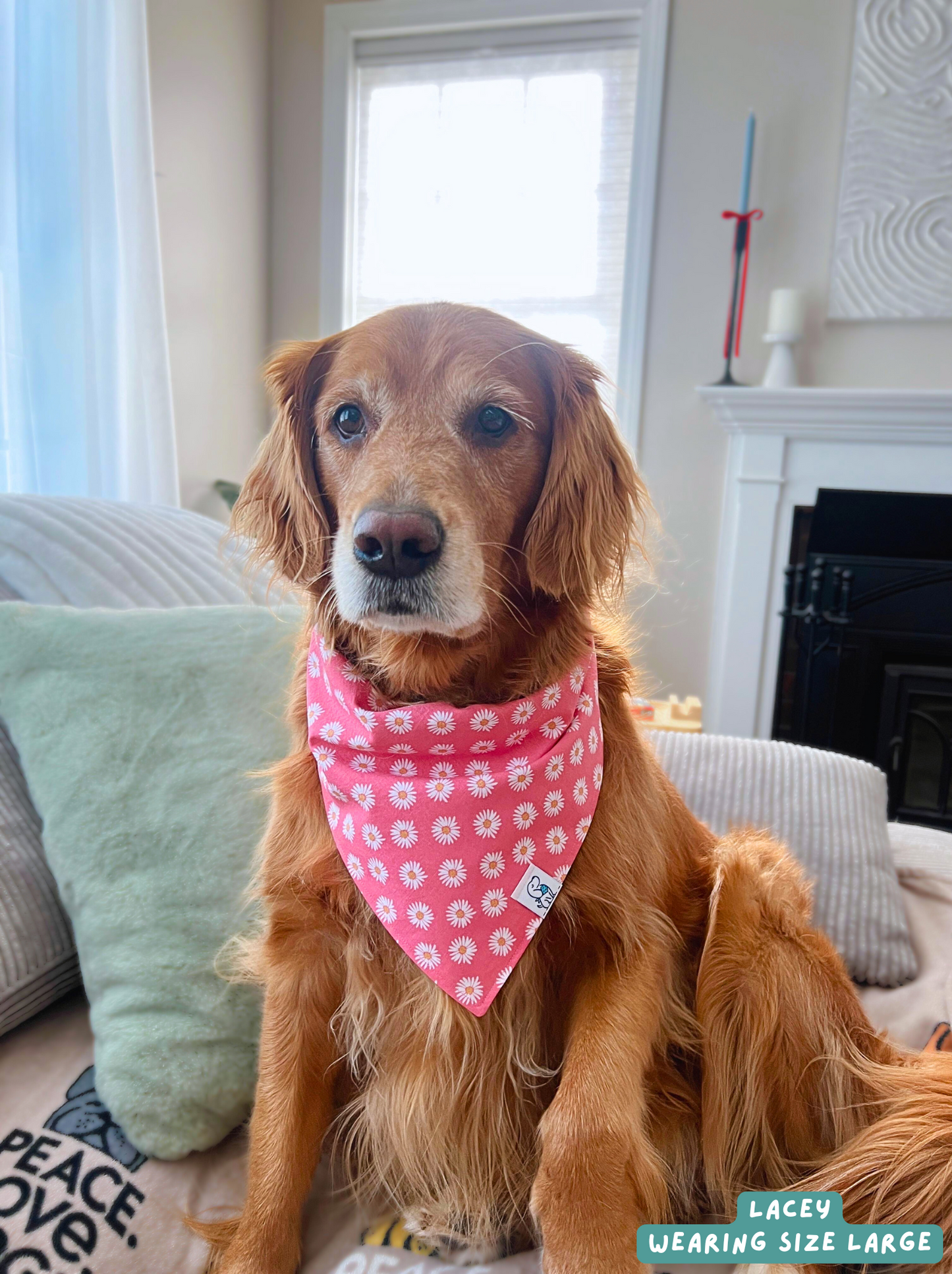 Oopsie Daisy - Bandana