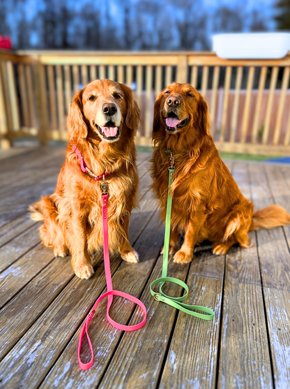 Pink Waterproof Dog Collar & Leash (Gold Hardware)