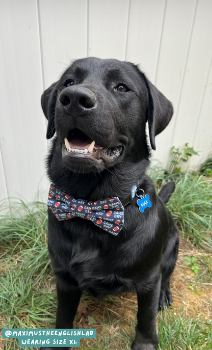 Football - Bow Tie