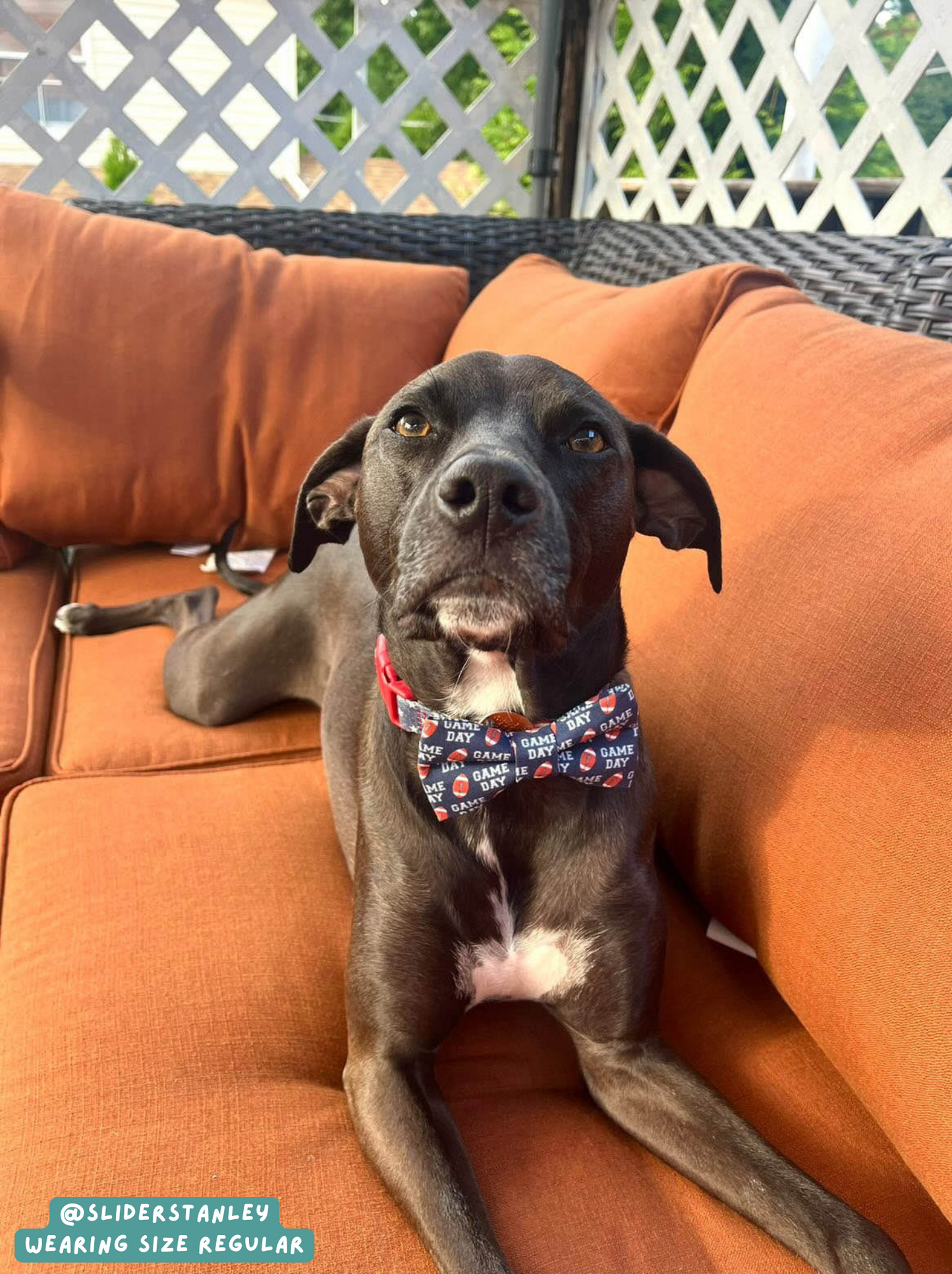 Football - Bow Tie