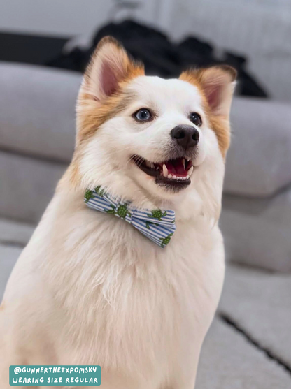 Shell Yeah - Bow Tie