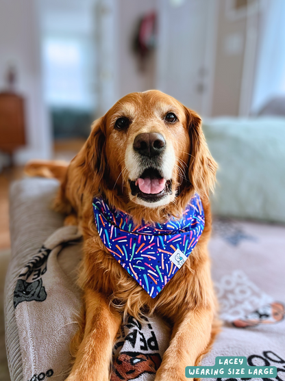 Lucky Star - Bandana