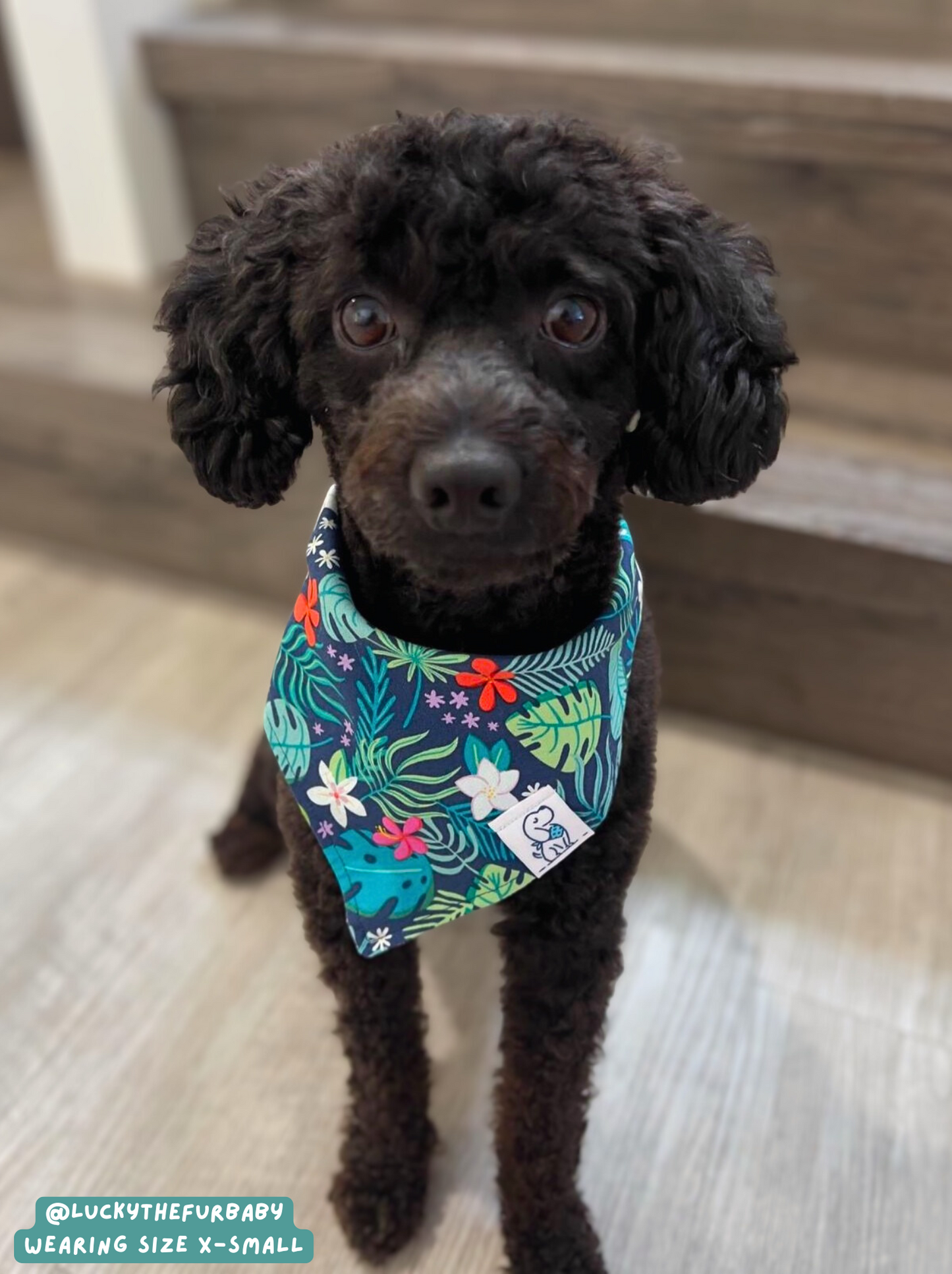 Tropical Getaway - Bandana