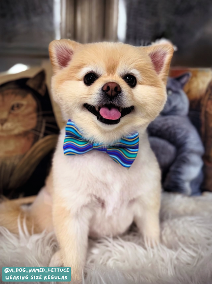 Wavy - Bow Tie