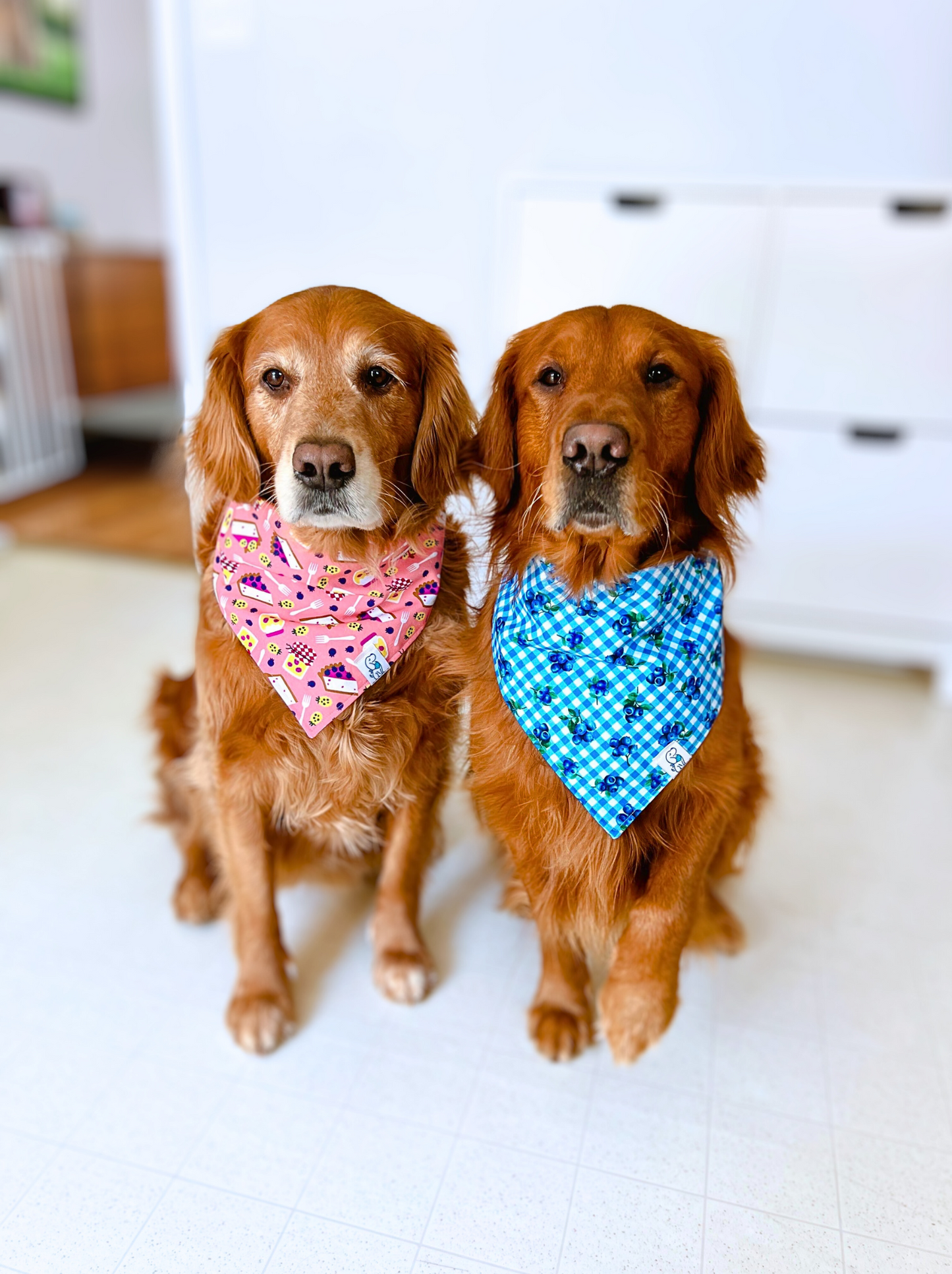 Piece of Pie - Bandana