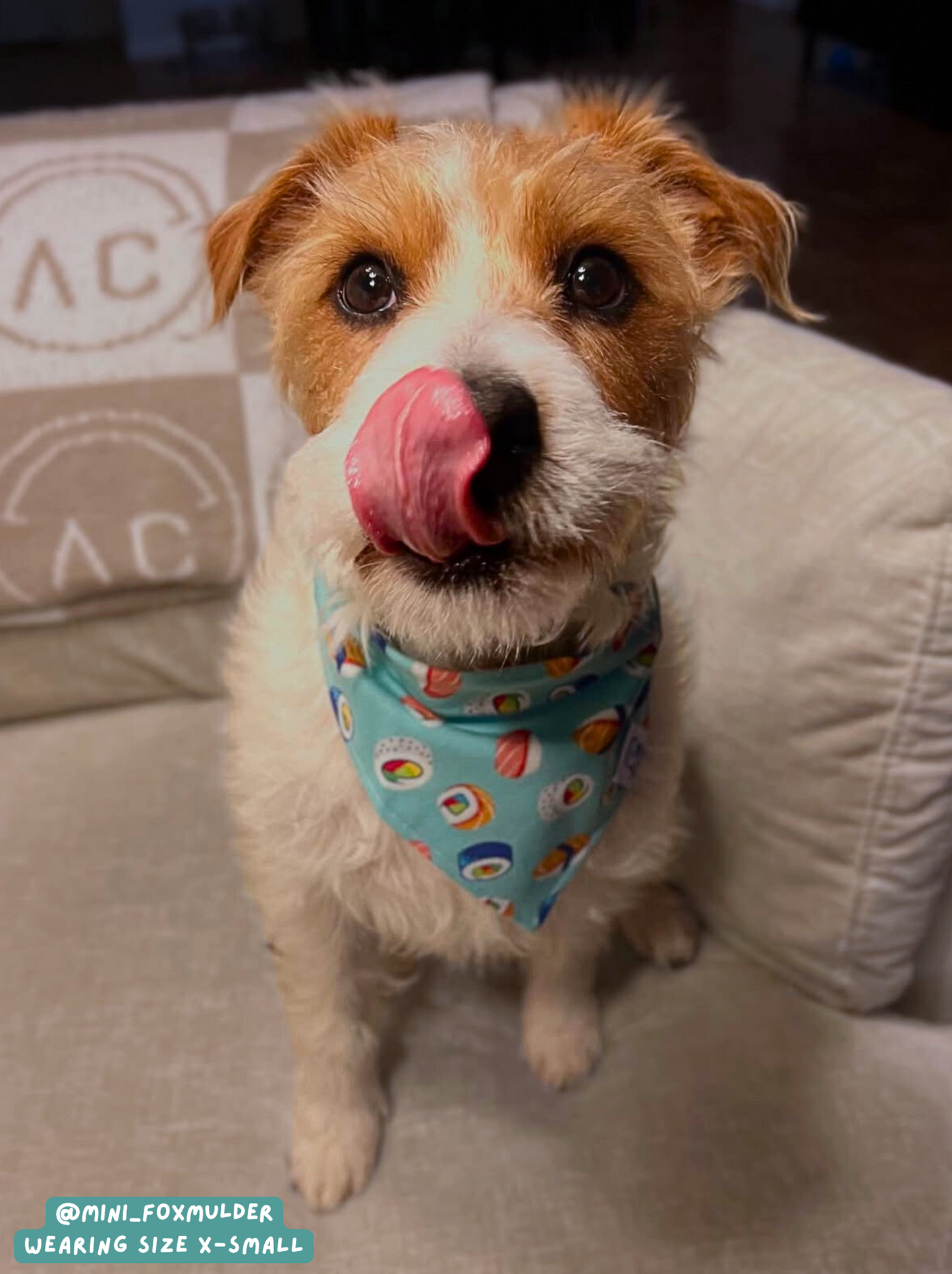 Love Sushi - Bandana