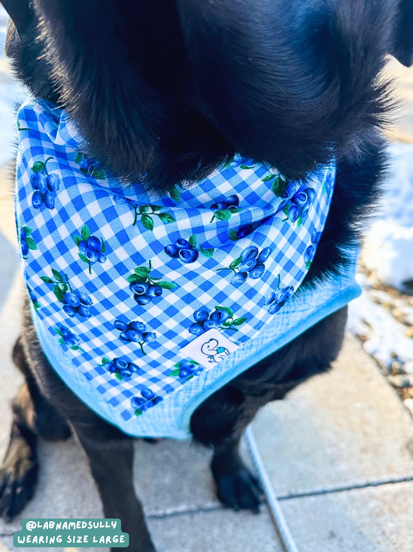 Berry Burst - Bandana