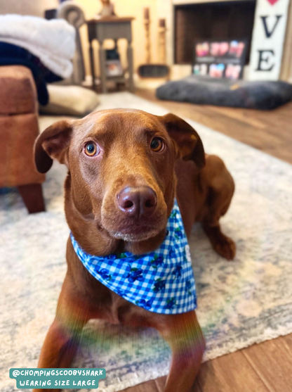 Berry Burst - Bandana