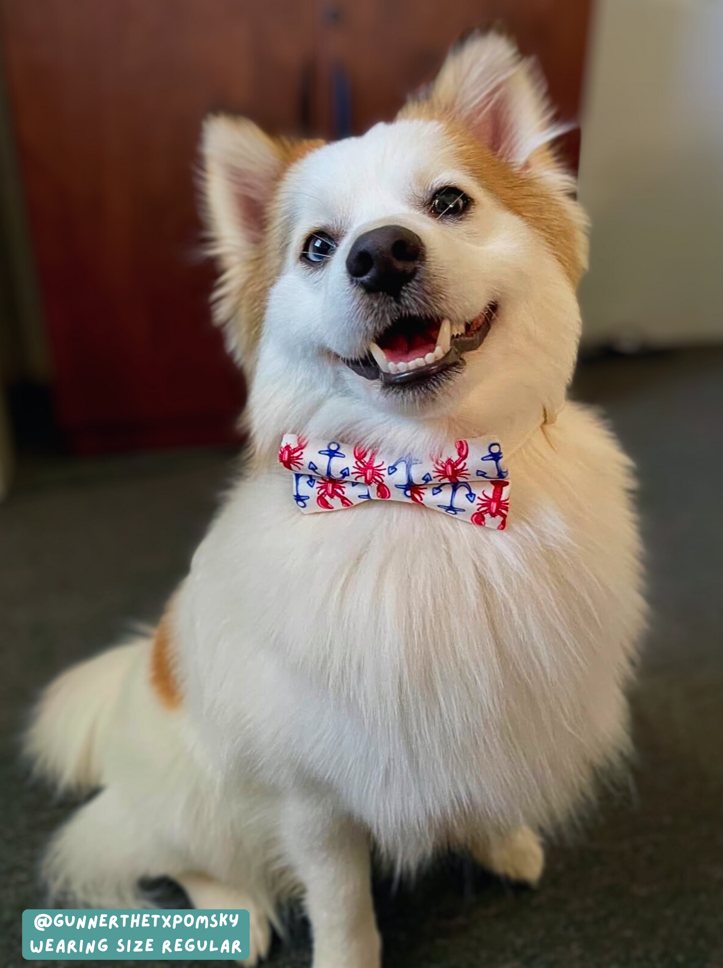 Lobstah - Bow Tie