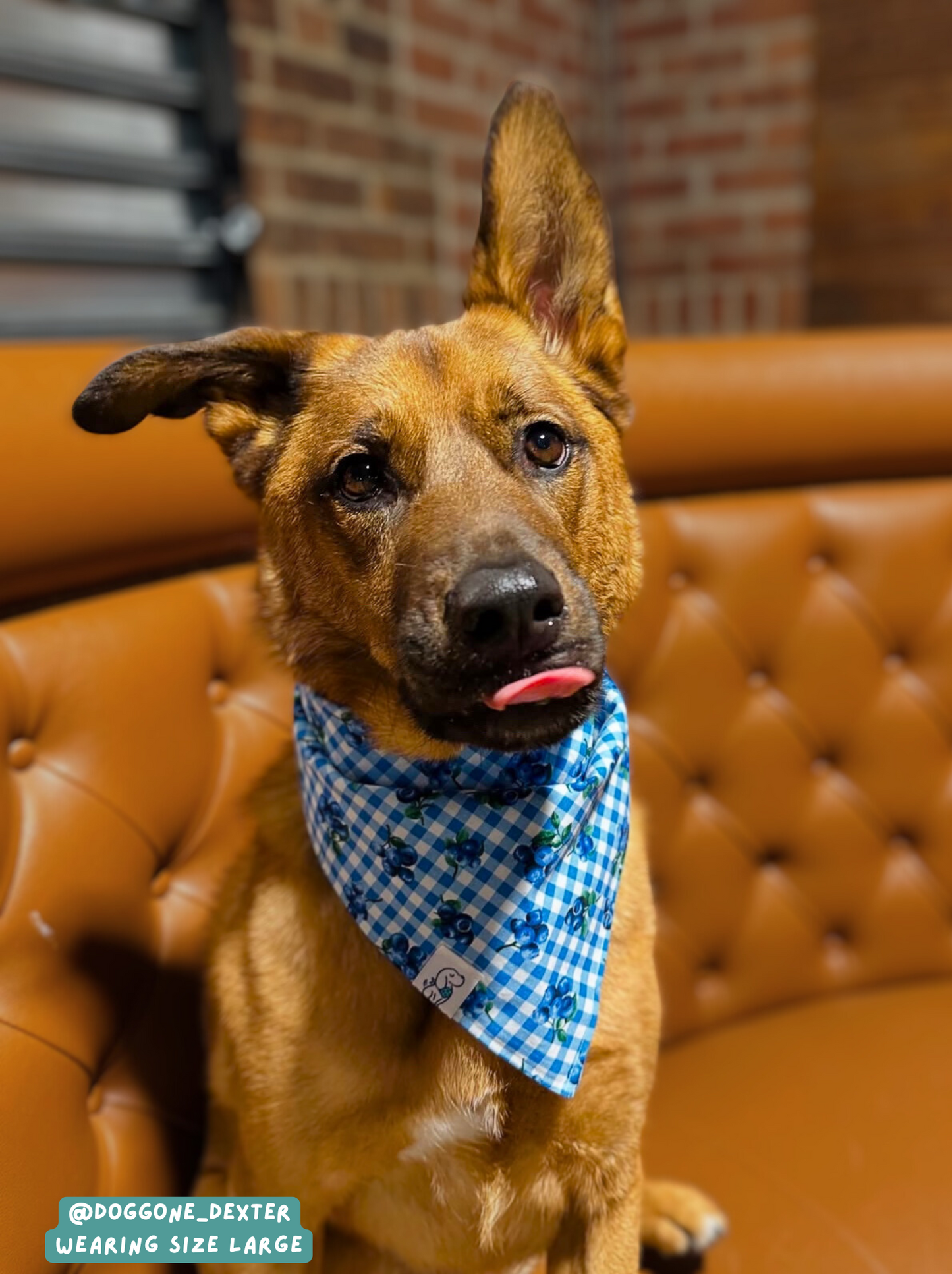 Berry Burst - Bandana