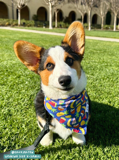 Tropical - Bandana