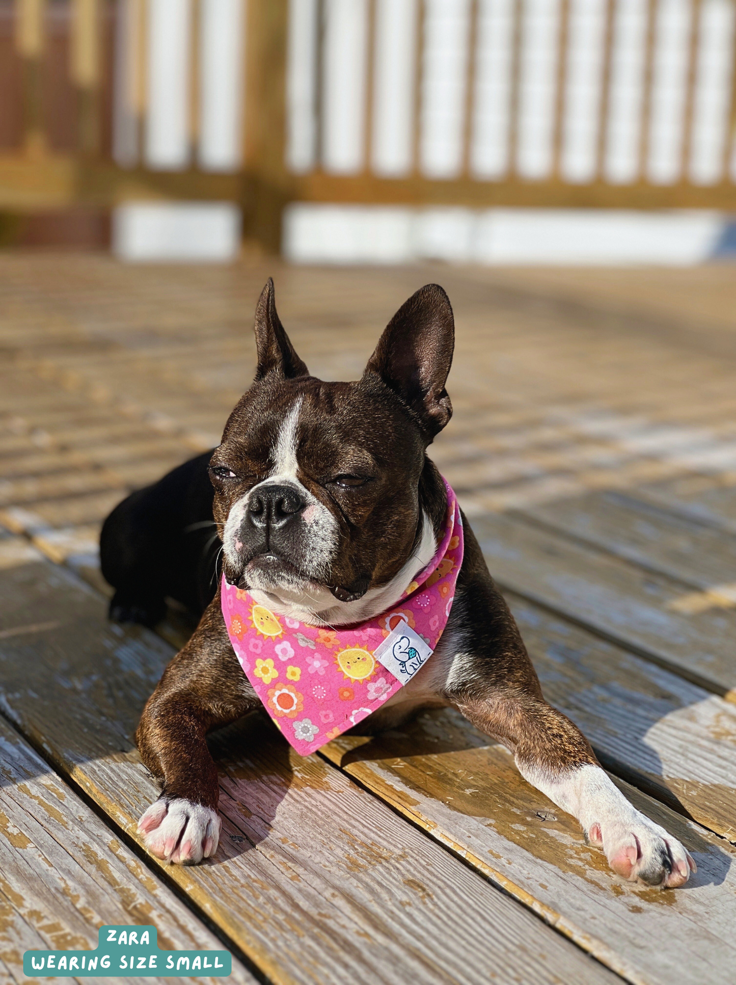Sunny Day - Bandana