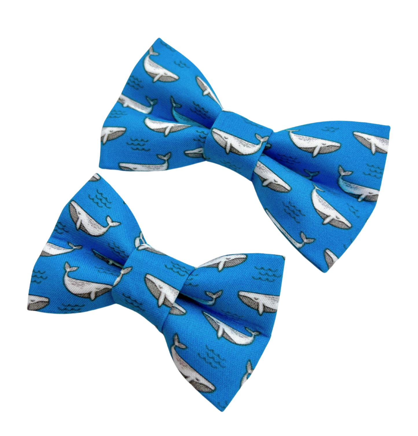 Sleepy Whales - Bow Tie