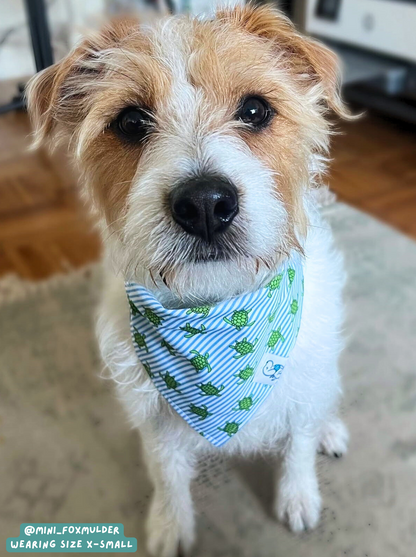 Shell Yeah - Bandana