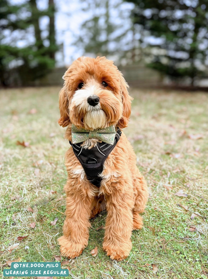 Moose Crossing - Bow Tie