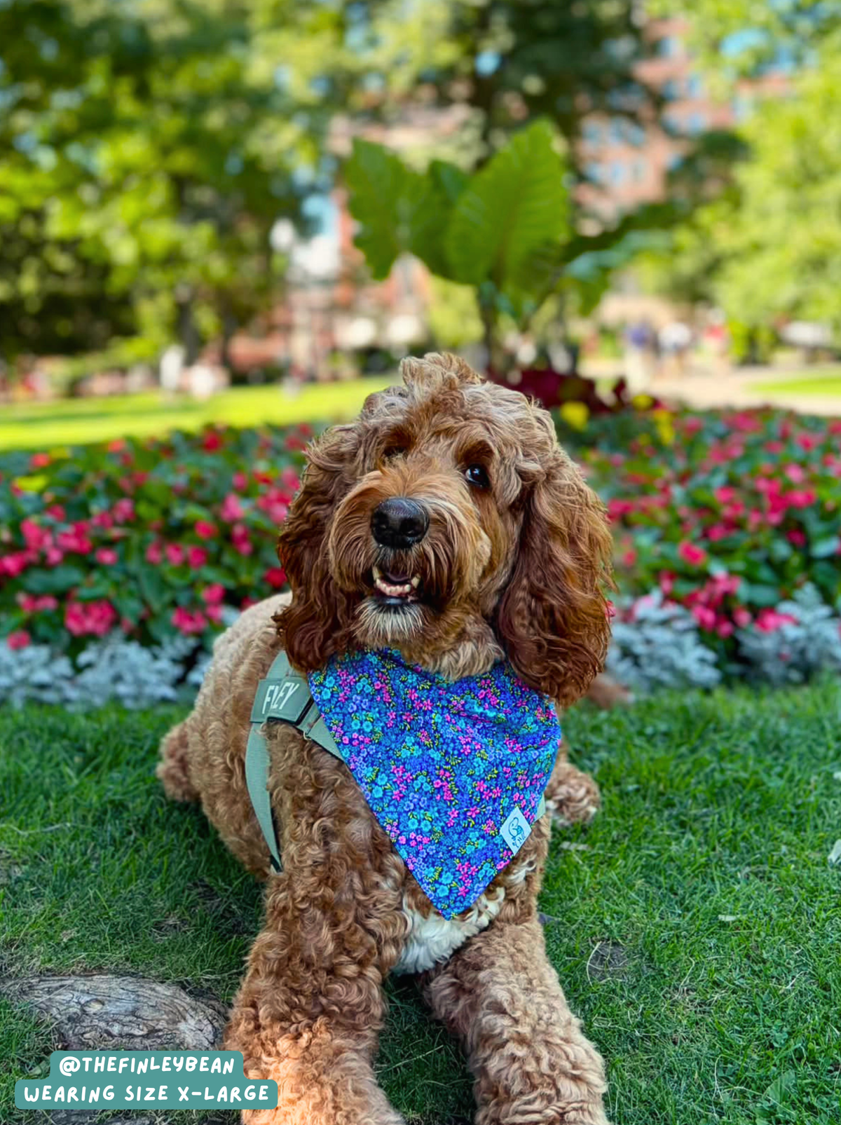 Fairy Meadow - Bandana