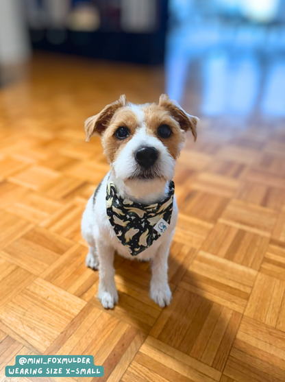 Fright Night - Bandana🎃
