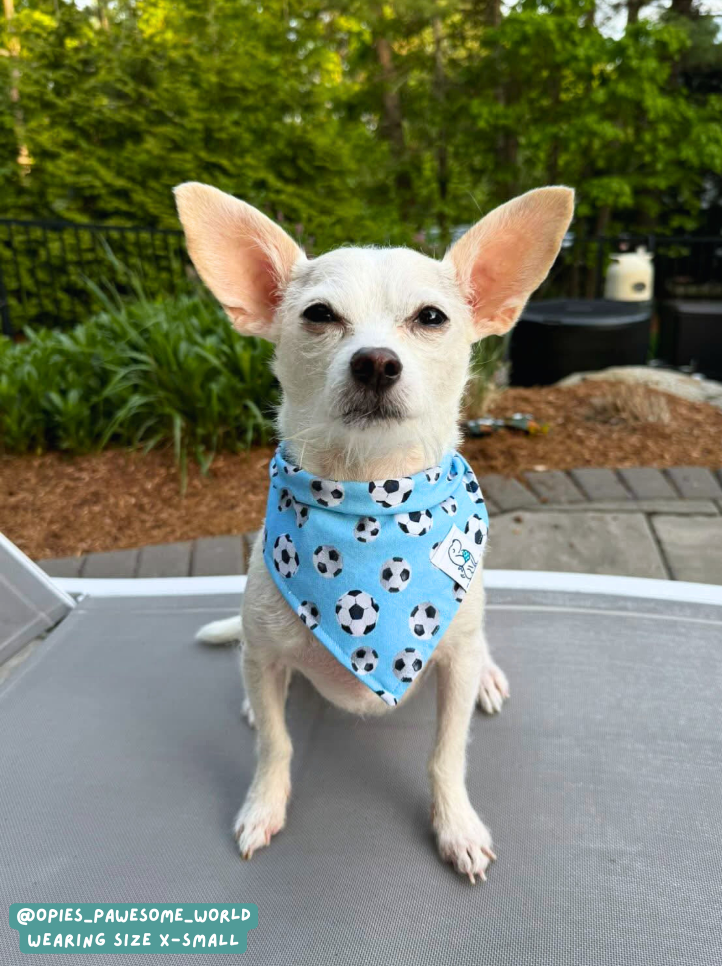 Soccer - Bandana