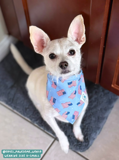 American Flag - Bandana