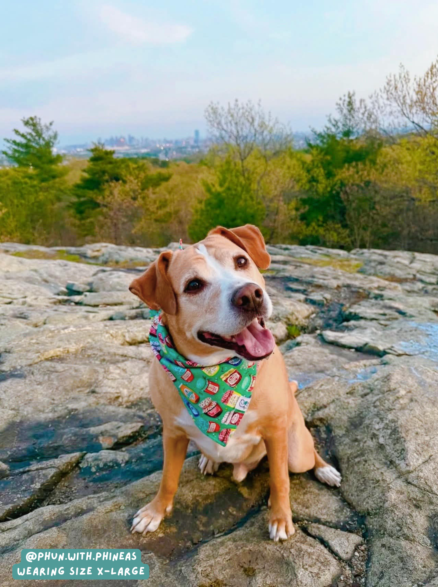 That's My Jam - Bandana