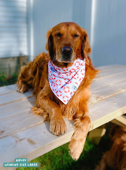 Life Ring - Bandana