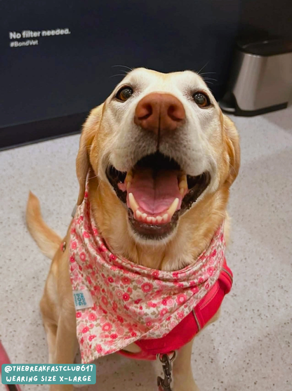 Sakura Tree - Bandana