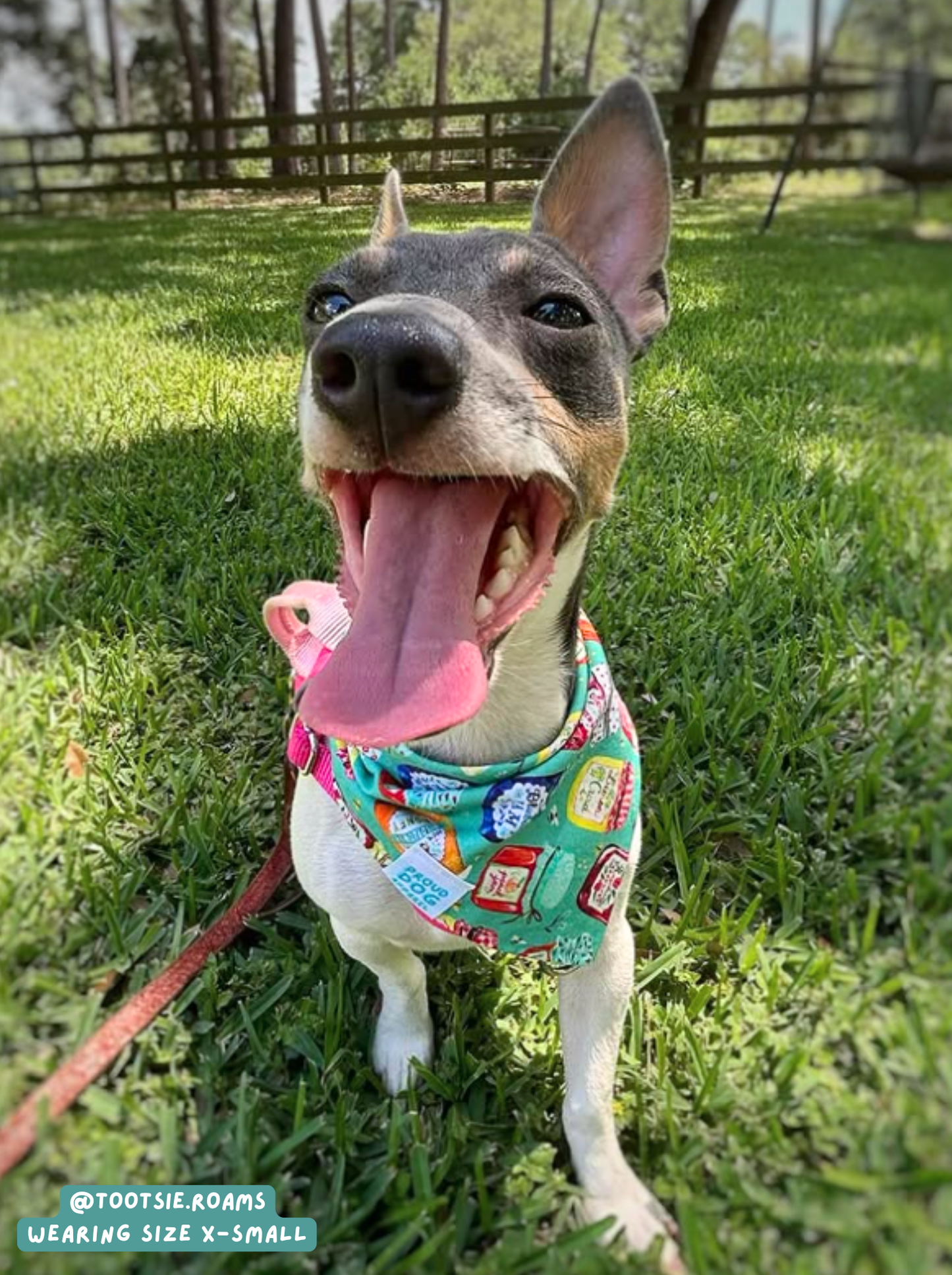 That's My Jam - Bandana