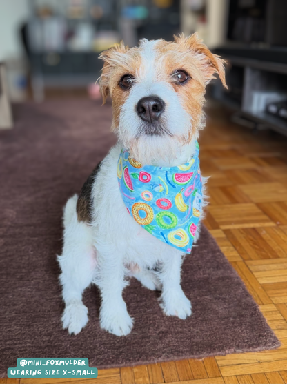 Pool Party - Bandana