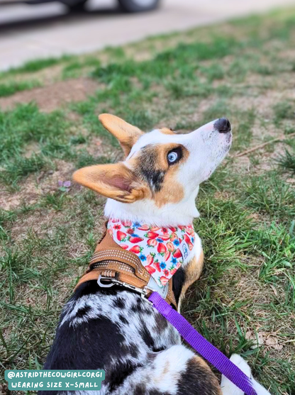 Fresh Berries - Bandana